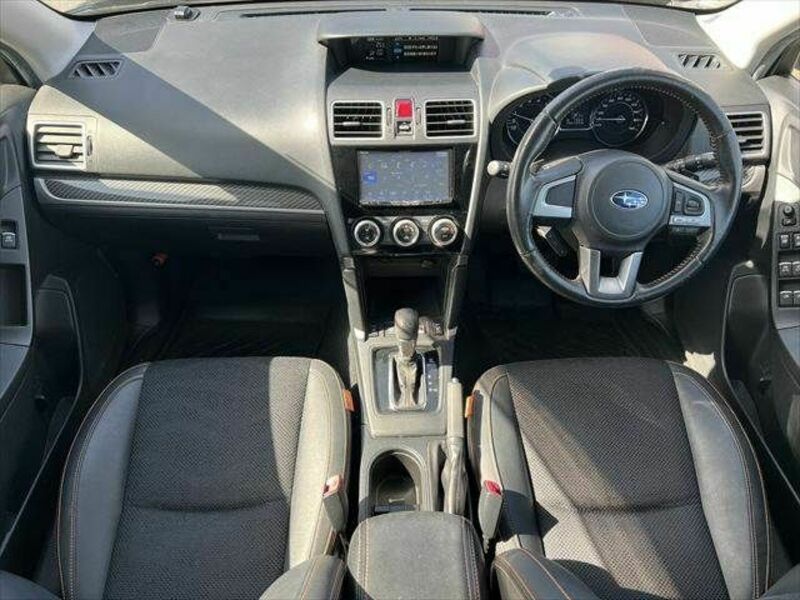 FORESTER-1