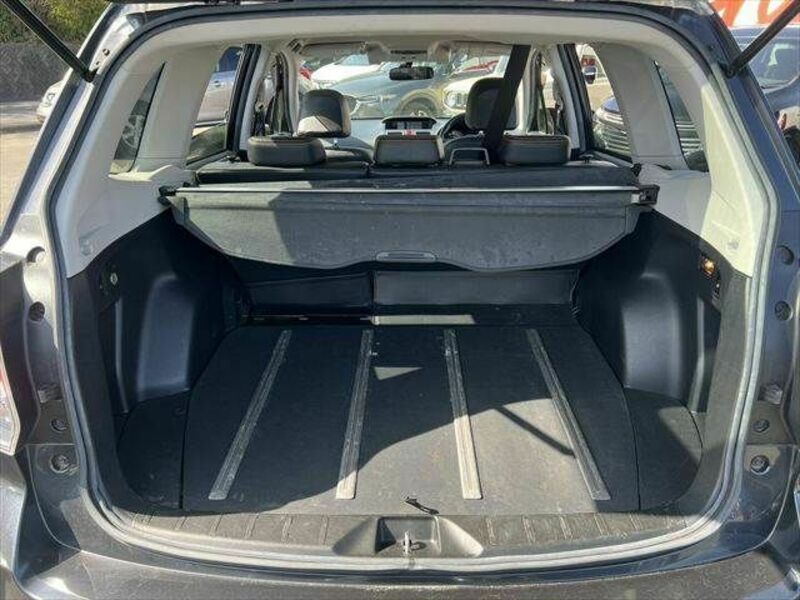 FORESTER-7