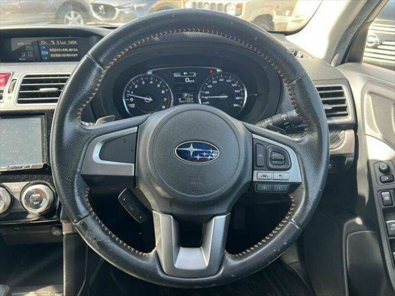 FORESTER-8