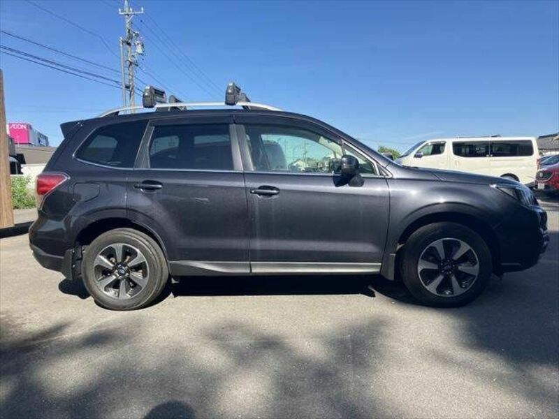 FORESTER-14