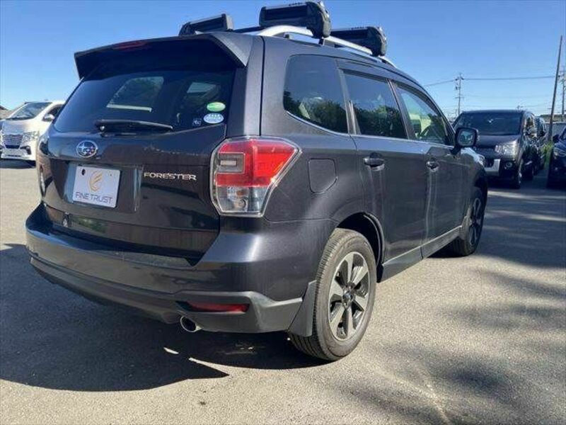 FORESTER-16