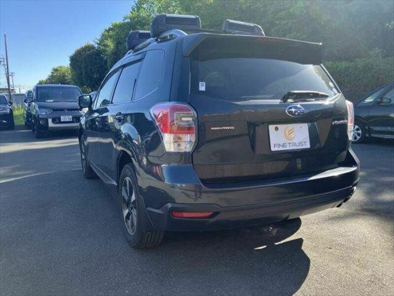 FORESTER-17