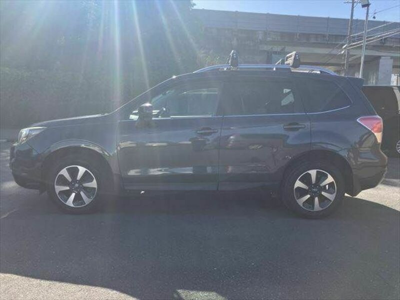 FORESTER-18