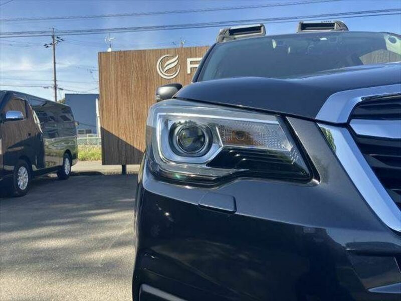 FORESTER-19