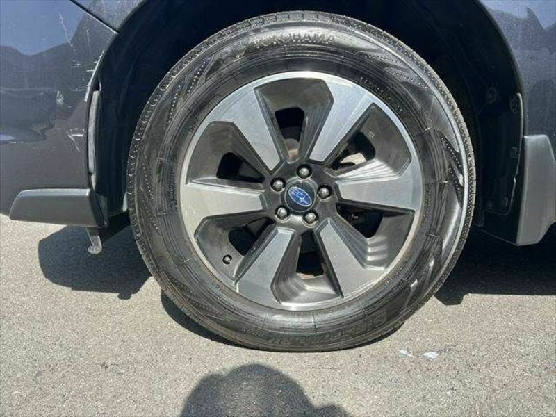 FORESTER-25