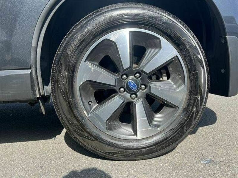 FORESTER-26