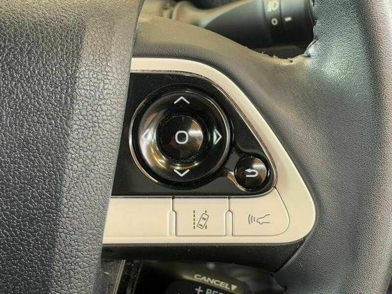 PRIUS-4