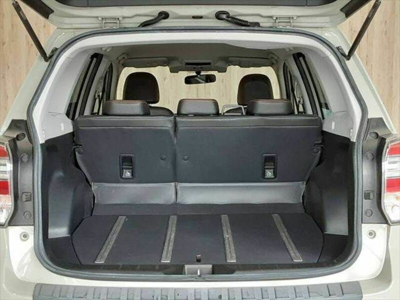 FORESTER-11