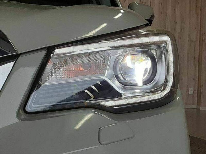FORESTER-13