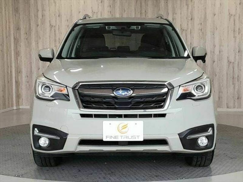 FORESTER-16