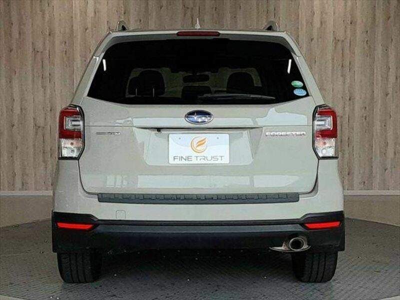 FORESTER-19