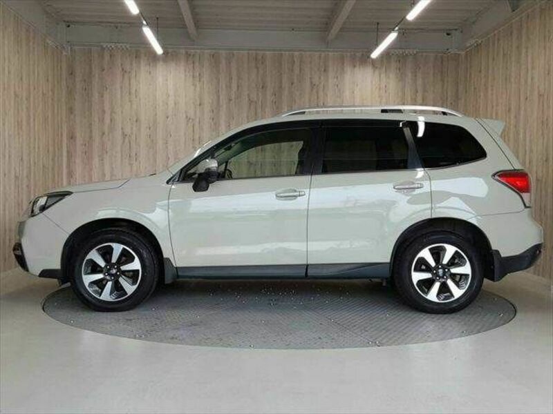 FORESTER-22