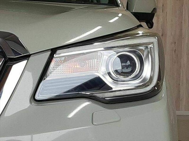 FORESTER-23