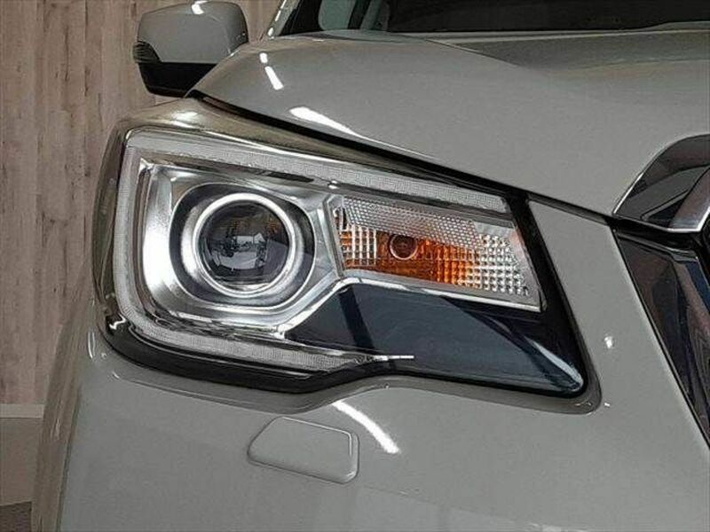 FORESTER-24