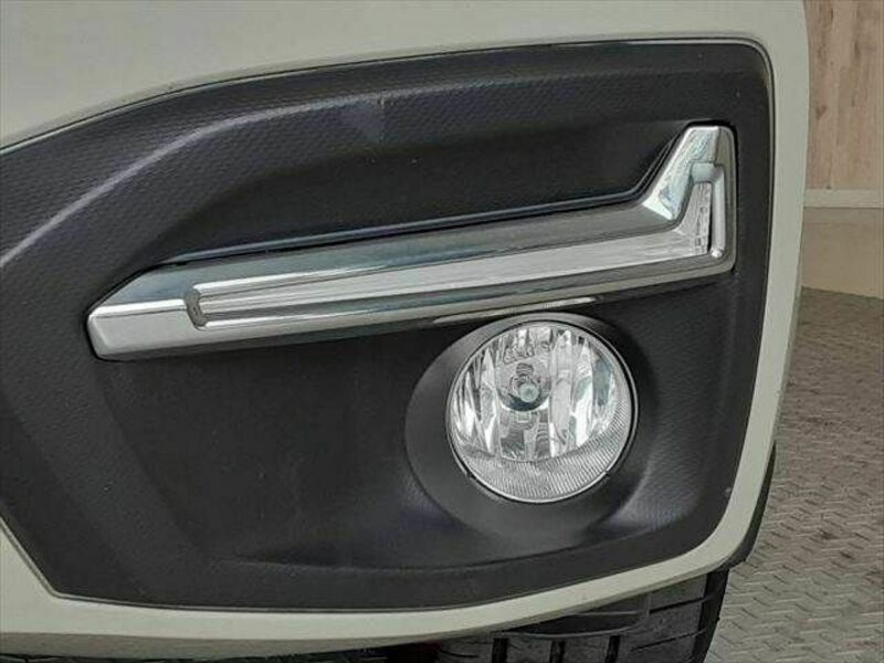 FORESTER-25