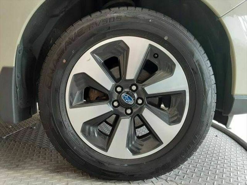 FORESTER-29
