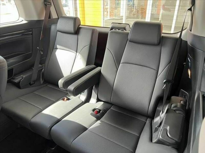 ALPHARD-19