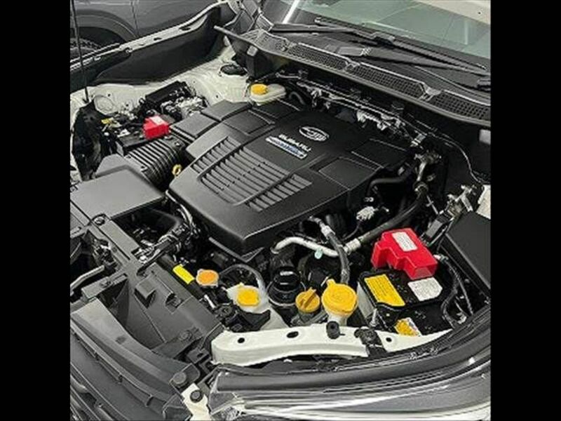 FORESTER-17