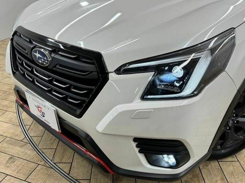 FORESTER-19