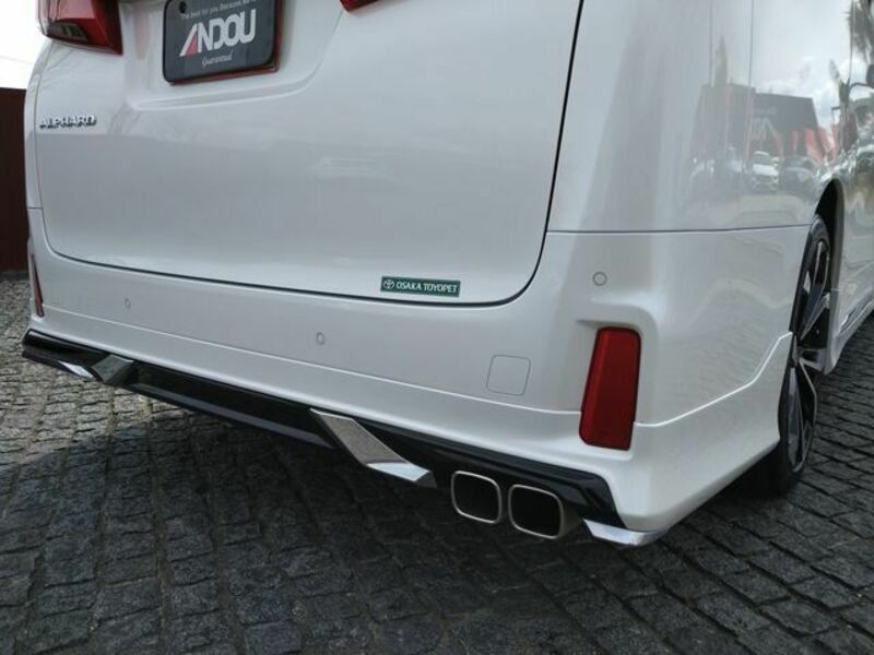 ALPHARD-6