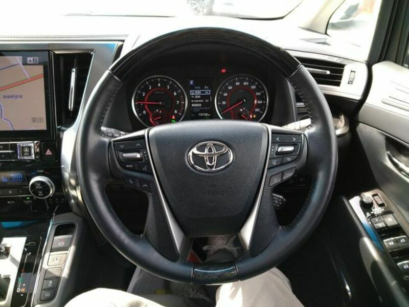 ALPHARD-13