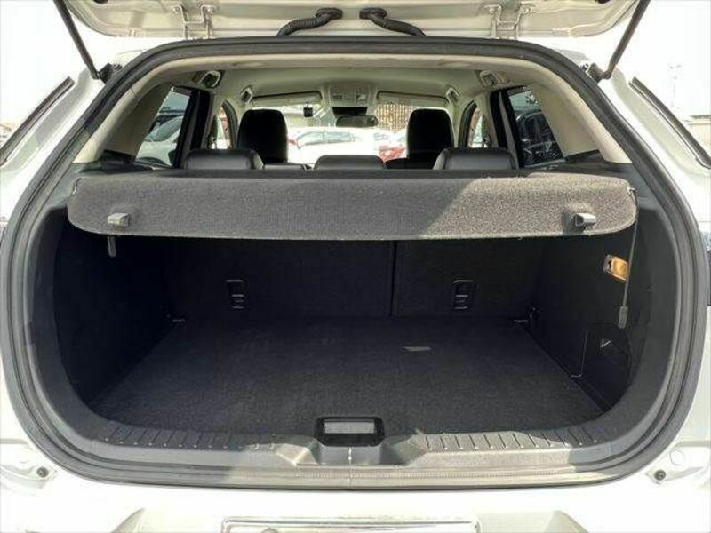 CX-3-8