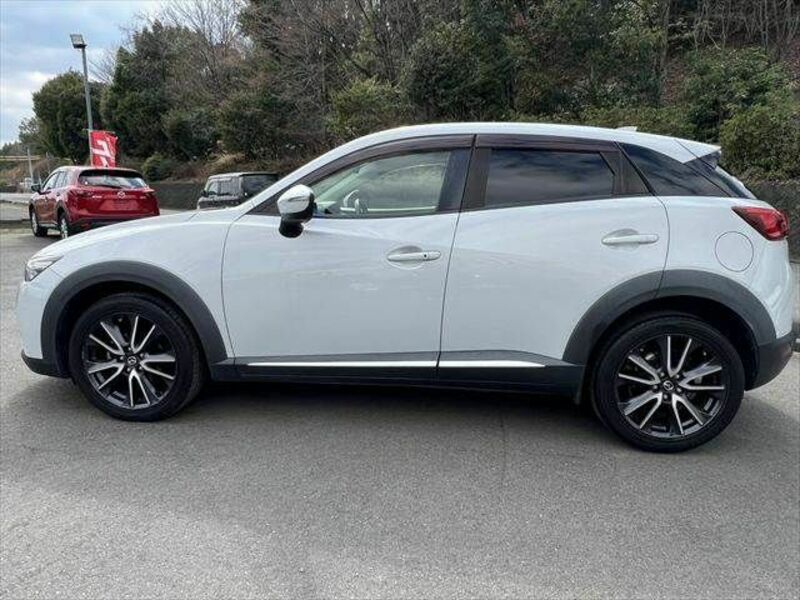 CX-3-19
