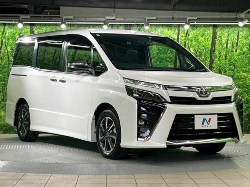 VOXY-17