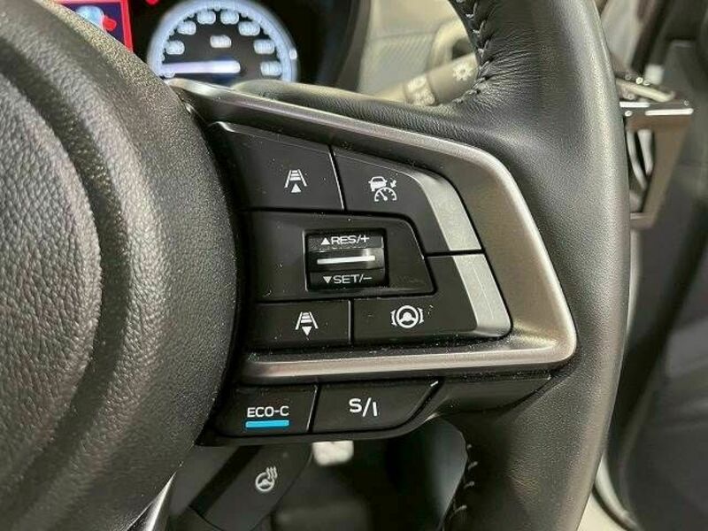 FORESTER-4