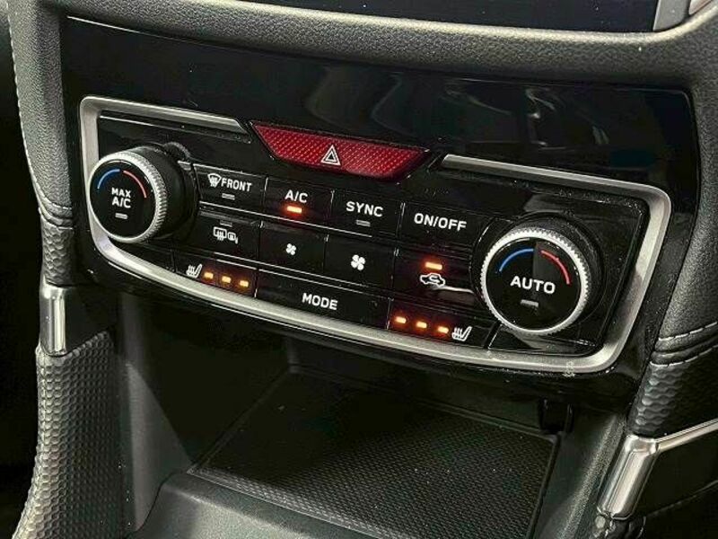 FORESTER-10