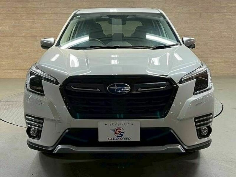 FORESTER-16