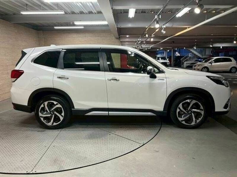 FORESTER-17