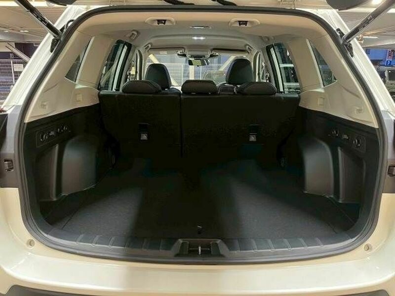 FORESTER-19