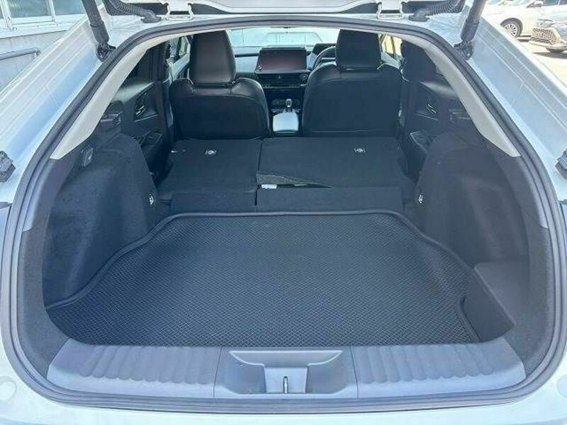 PRIUS-19