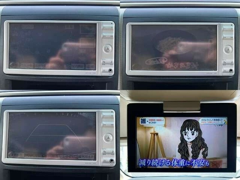 ALPHARD-8