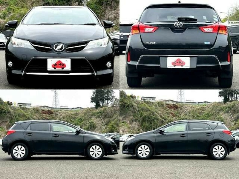 AURIS-3