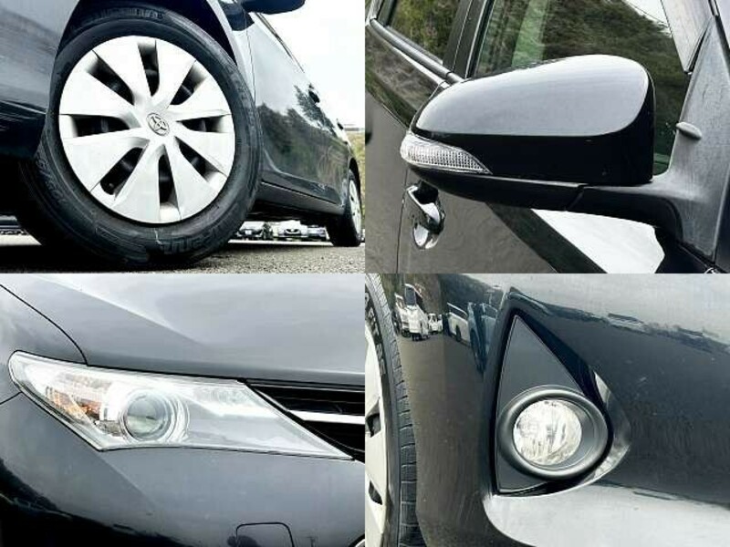 AURIS-4