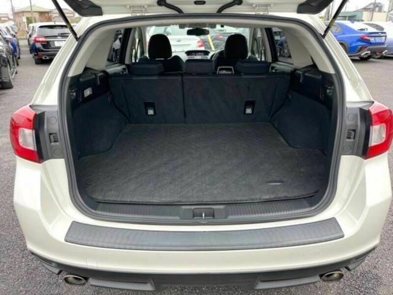 LEVORG-10