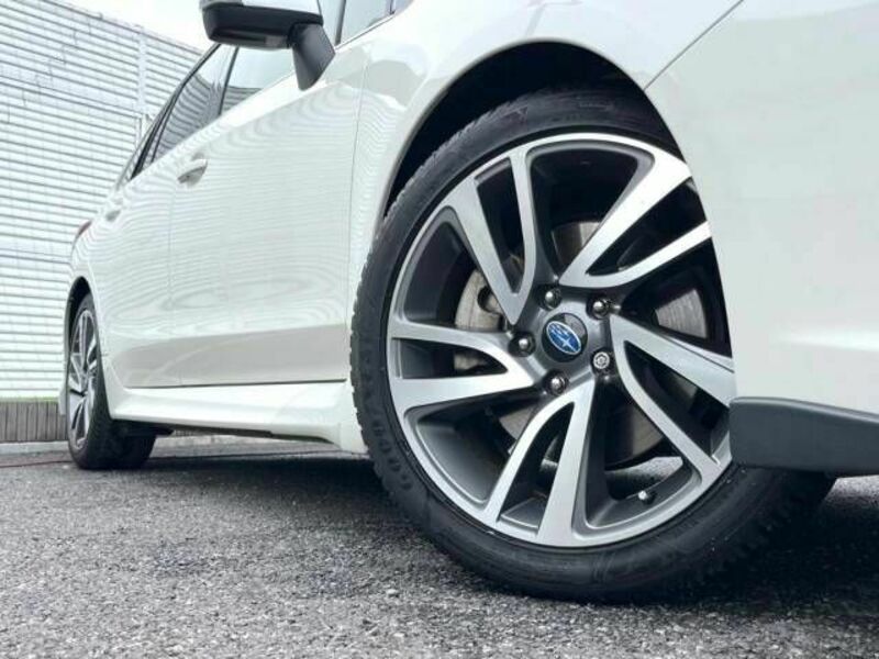 LEVORG-12
