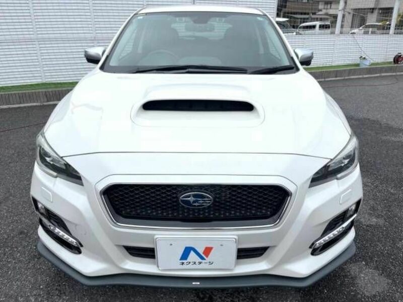 LEVORG-13