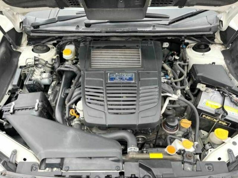 LEVORG-17
