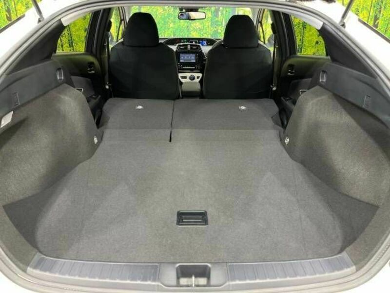 PRIUS-9