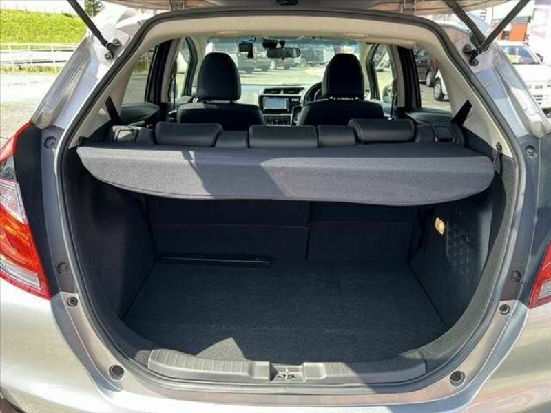 FIT HYBRID-19