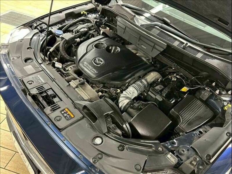 CX-8-13