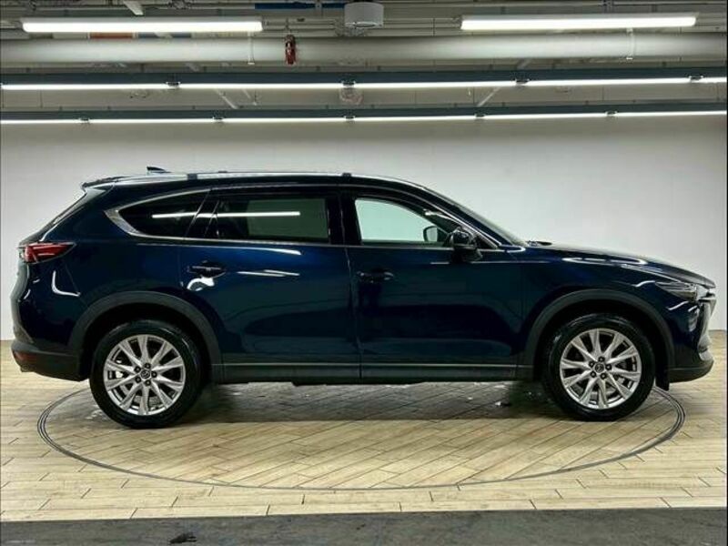 CX-8-17