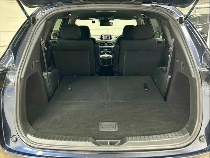 CX-8-19
