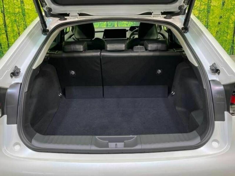 PRIUS-10