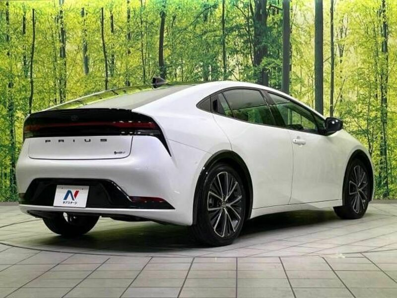 PRIUS-17