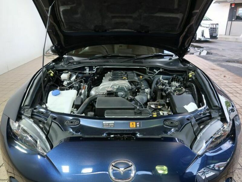 ROADSTER-25
