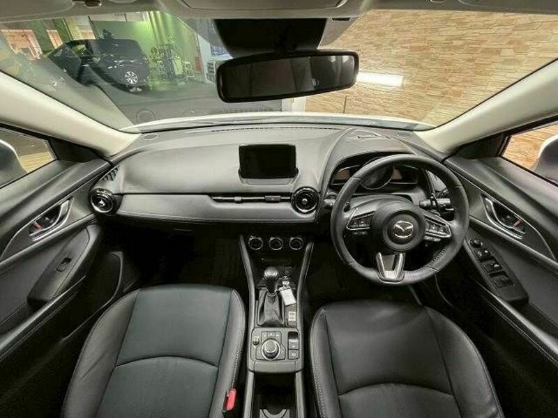 CX-3-1